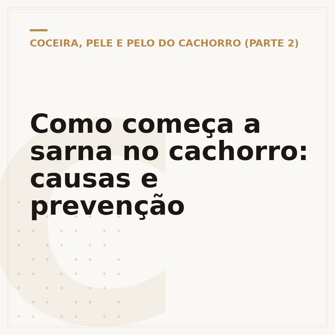 Como começa a sarna no cachorro: causas e prevenção