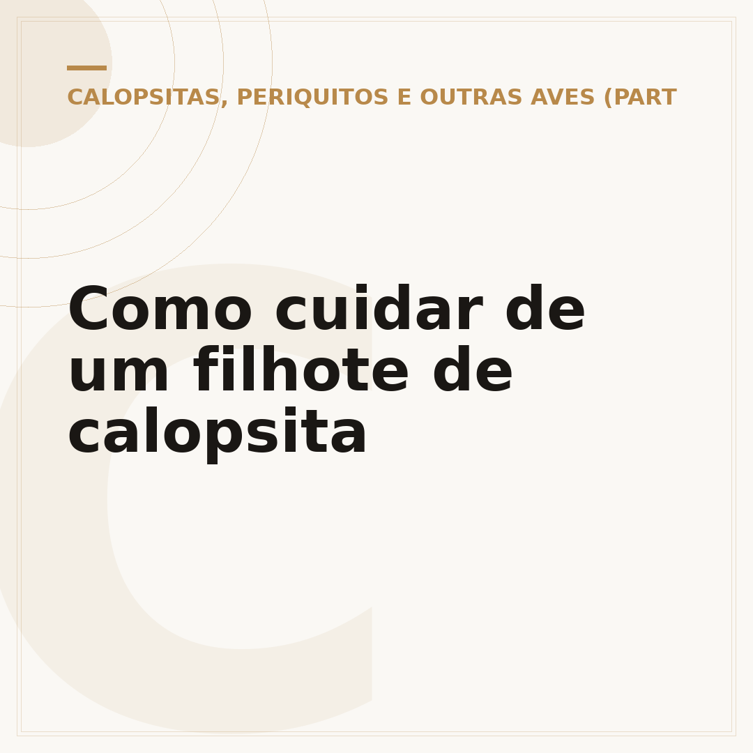 Como cuidar de um filhote de calopsita