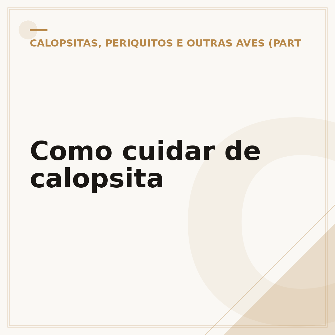 Como cuidar de calopsita