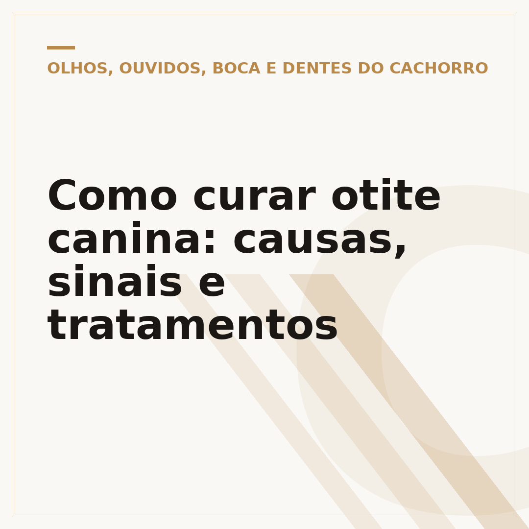 Como curar otite canina: causas, sinais e tratamentos