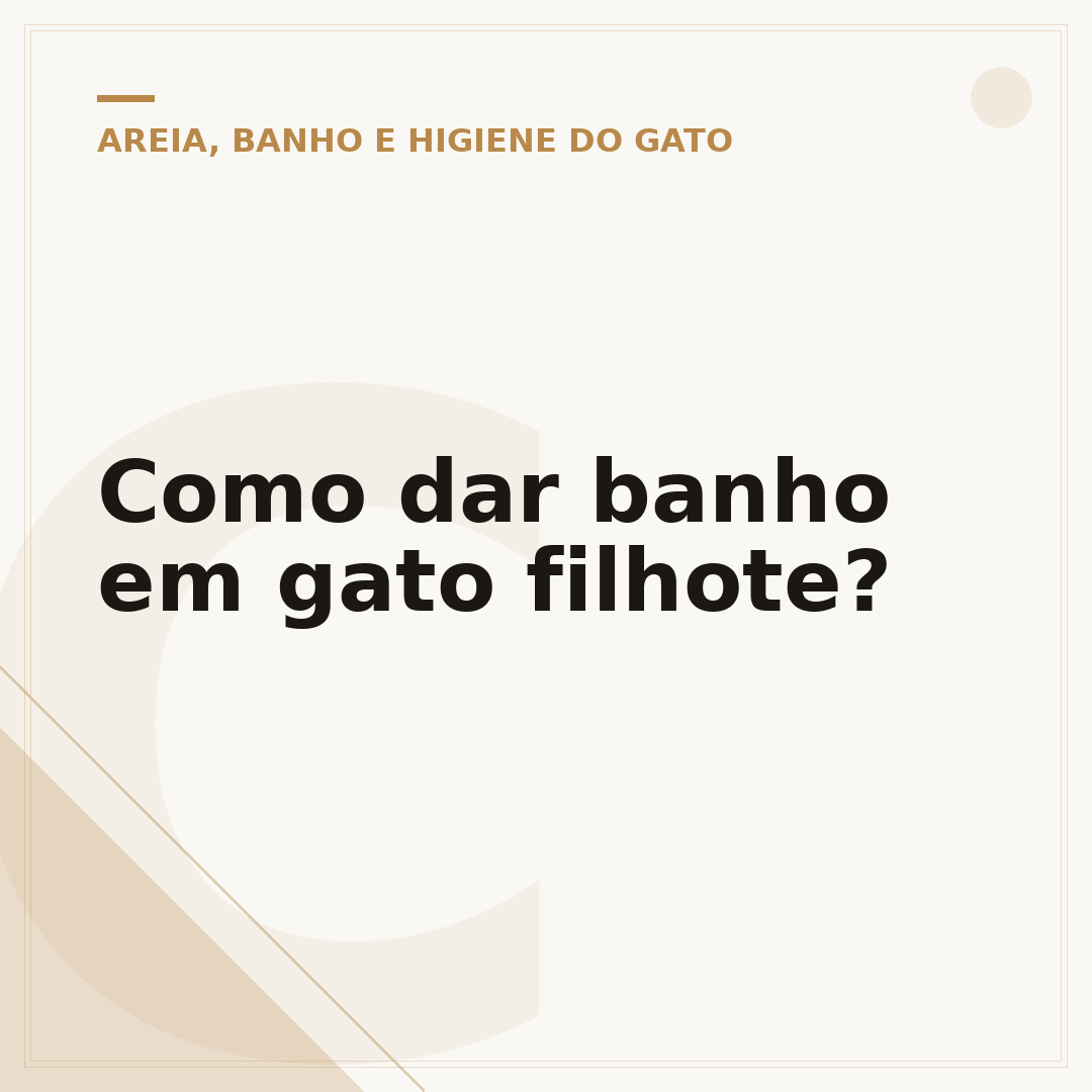 Como dar banho em gato filhote?