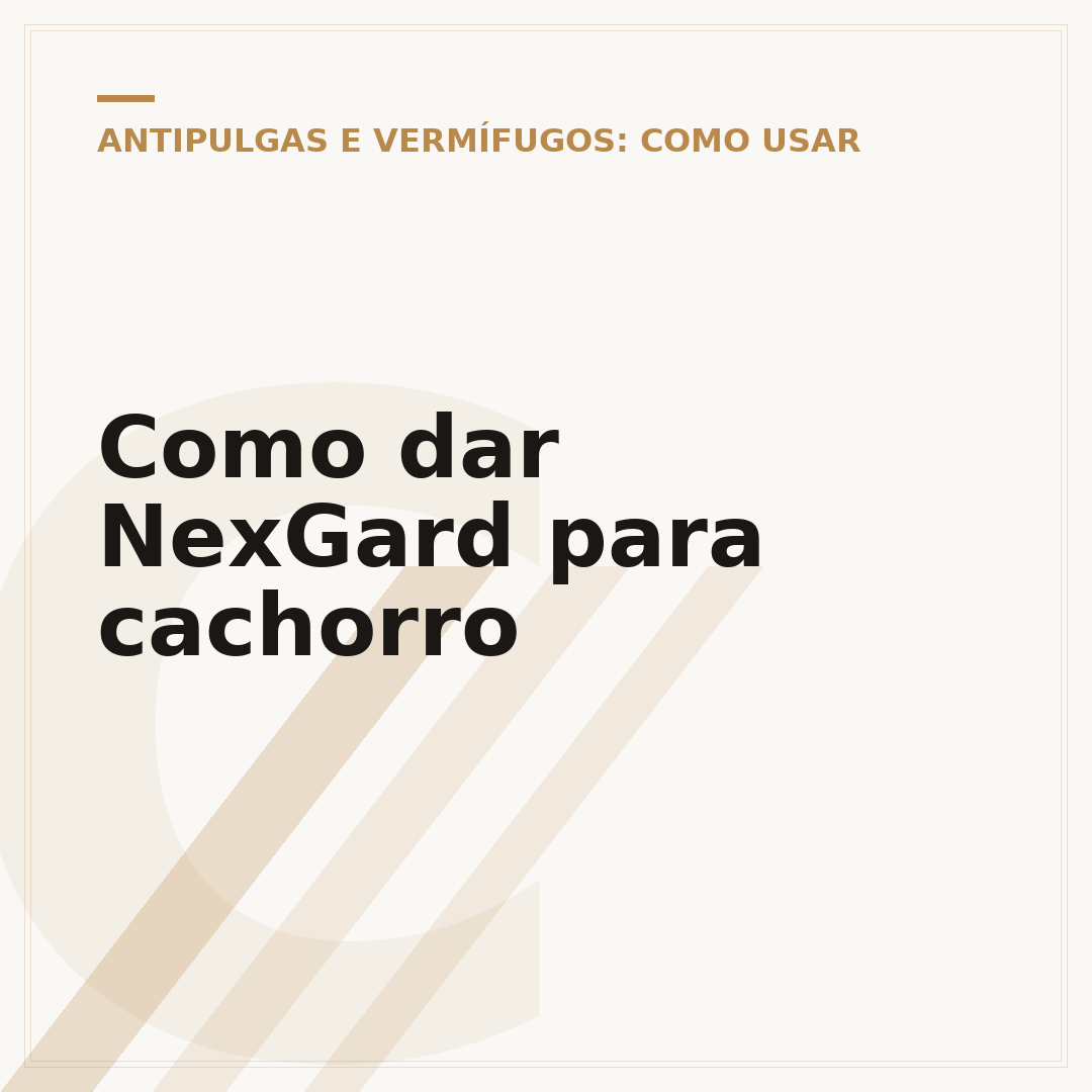 Como dar NexGard para cachorro