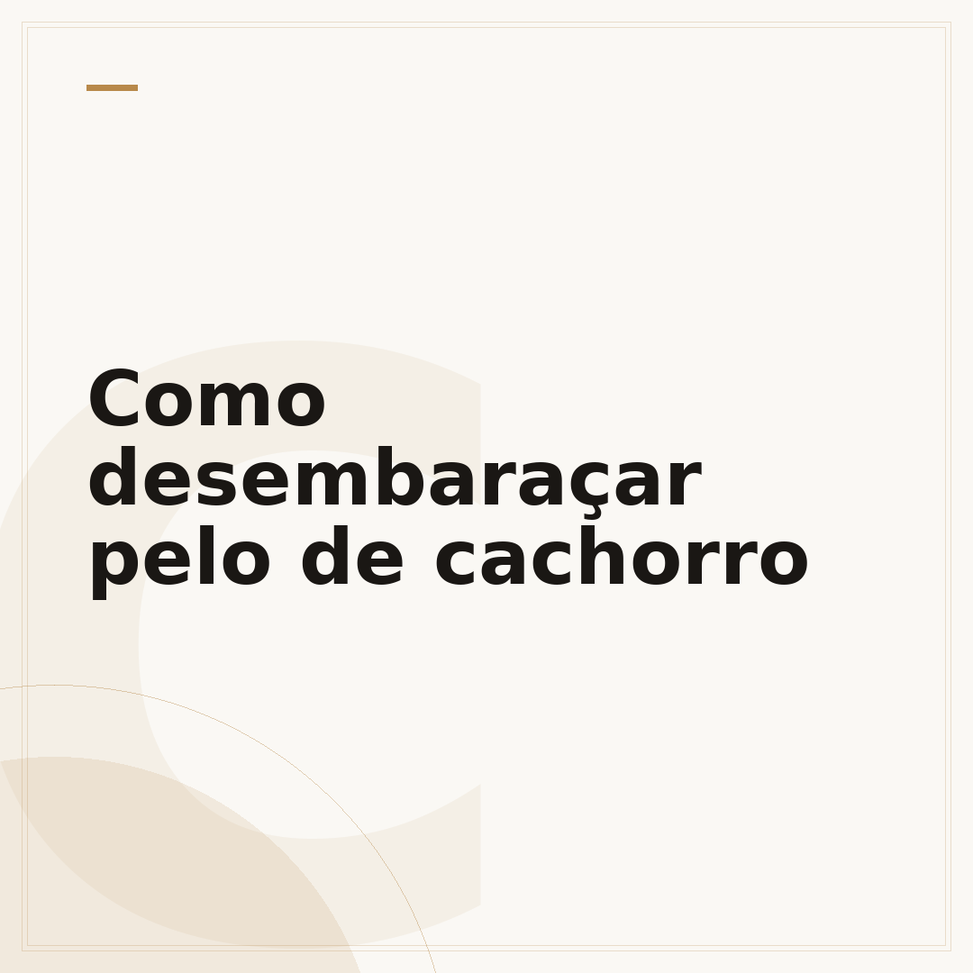 Como desembaraçar pelo de cachorro