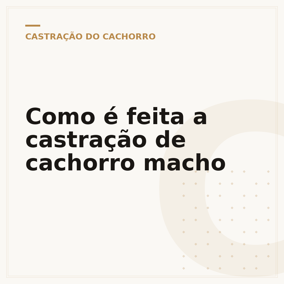 Como é feita a castração de cachorro macho