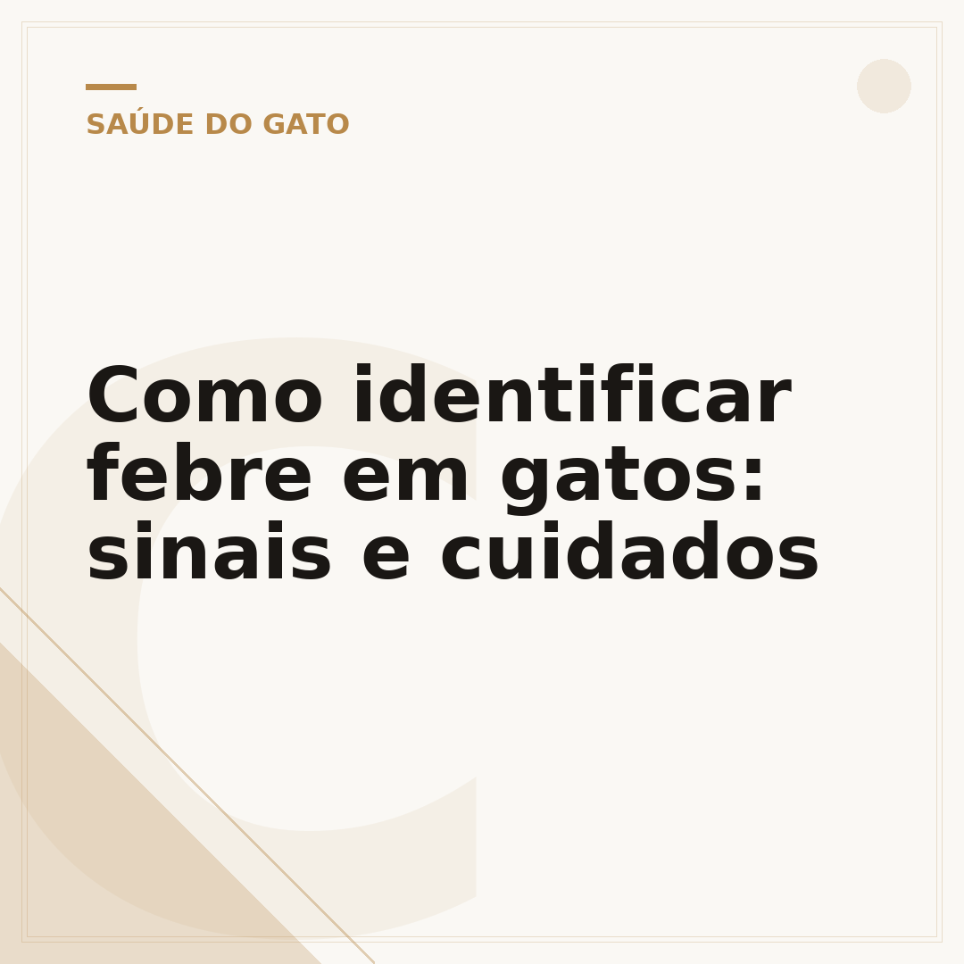 Como identificar febre em gatos: sinais e cuidados