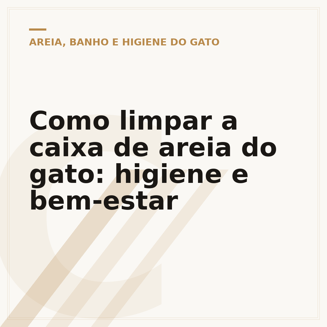 Como limpar a caixa de areia do gato: higiene e bem-estar