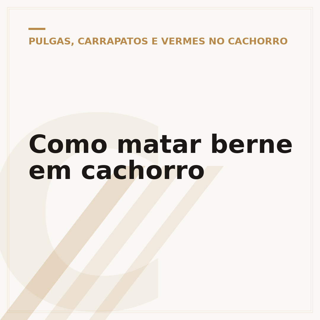 Como matar berne em cachorro