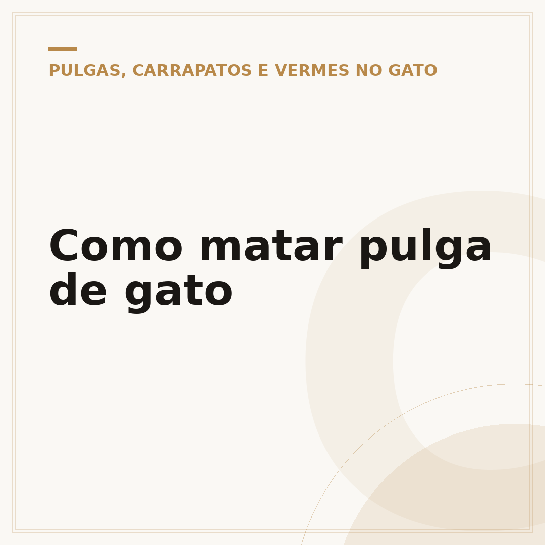 Como matar pulga de gato