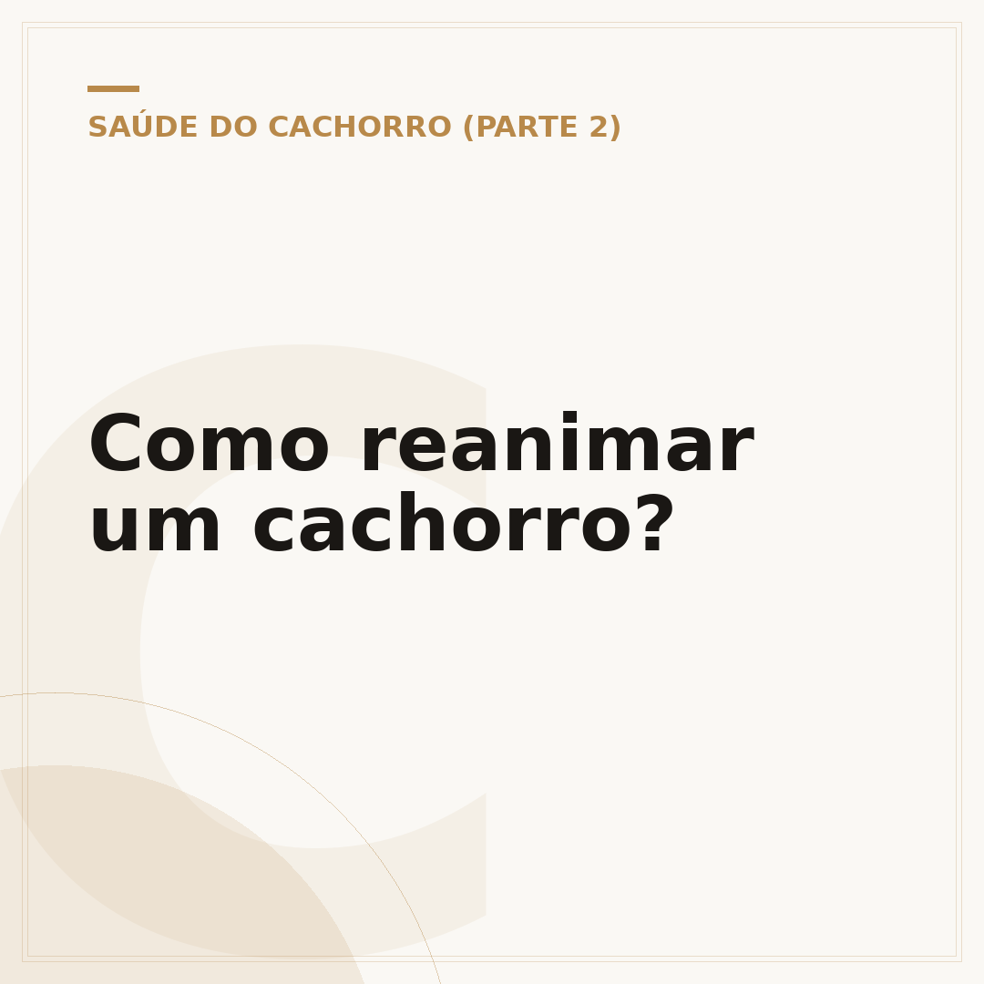 Como reanimar um cachorro?