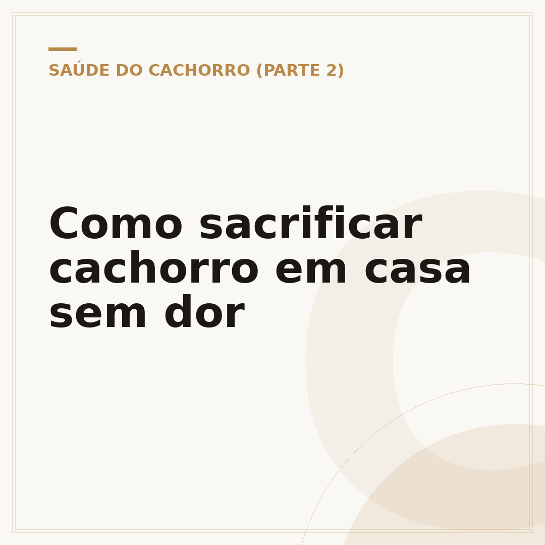 Como sacrificar cachorro em casa sem dor