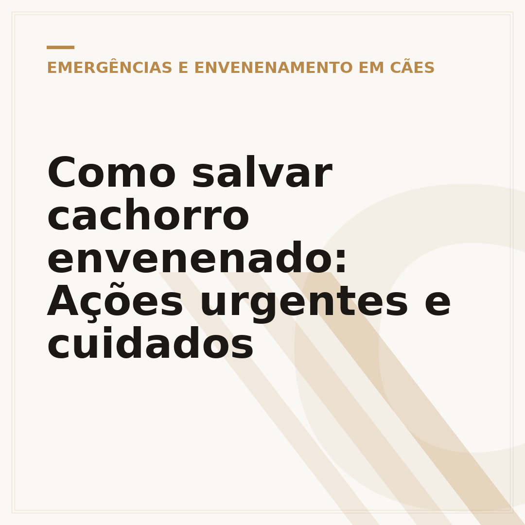 Como salvar cachorro envenenado: Ações urgentes e cuidados