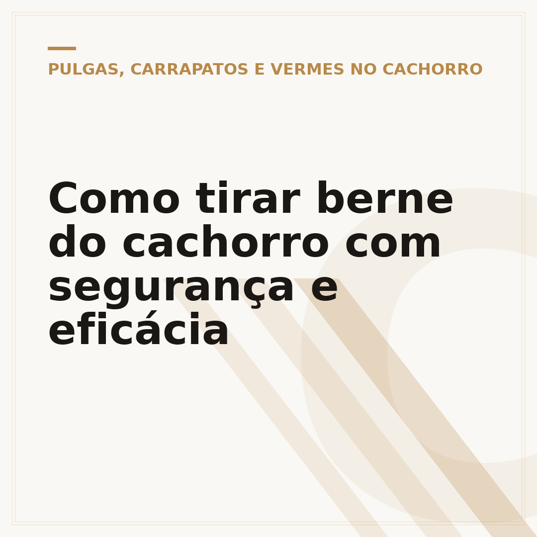 Como tirar berne do cachorro com segurança e eficácia
