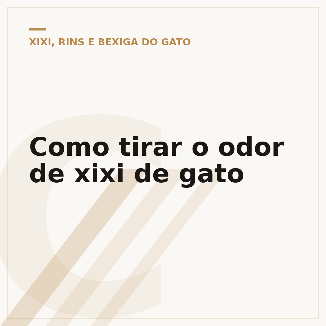 Como tirar o odor de xixi de gato
