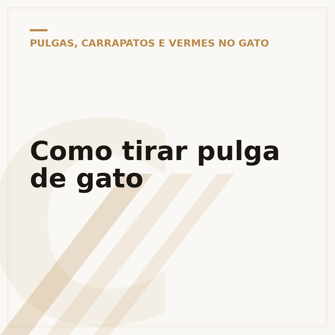 Como tirar pulga de gato