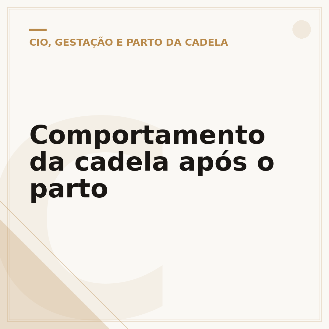 Comportamento da cadela após o parto