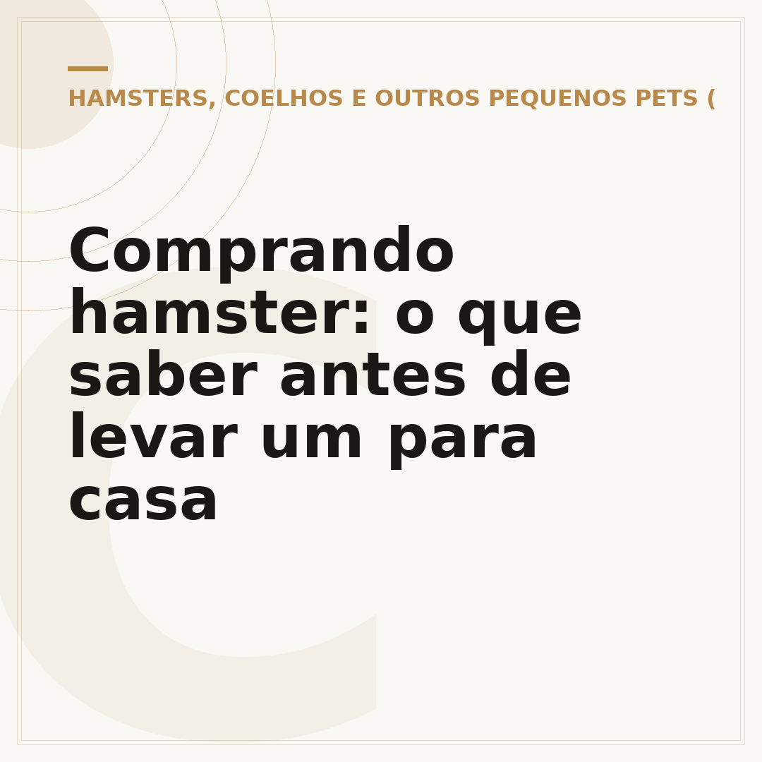 Comprando hamster: o que saber antes de levar um para casa