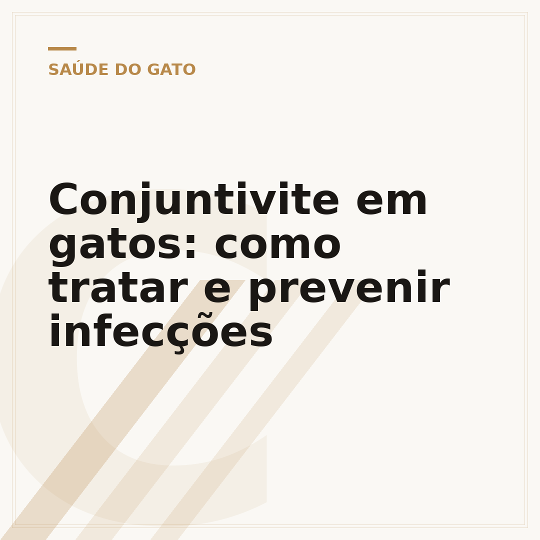 Conjuntivite em gatos: como tratar e prevenir infecções