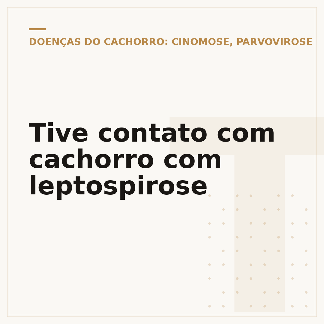 Tive contato com cachorro com leptospirose