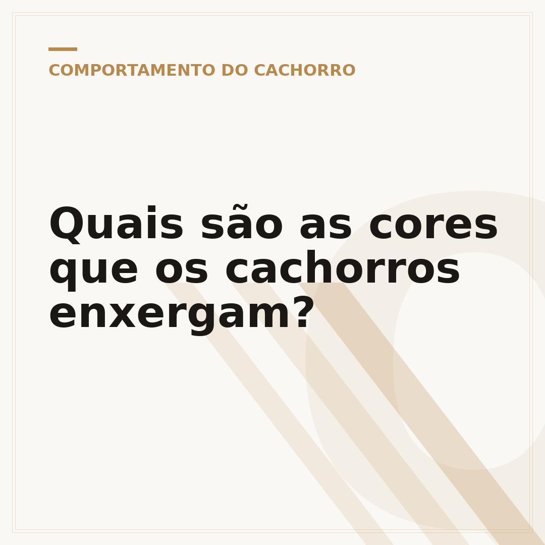 Quais são as cores que os cachorros enxergam?
