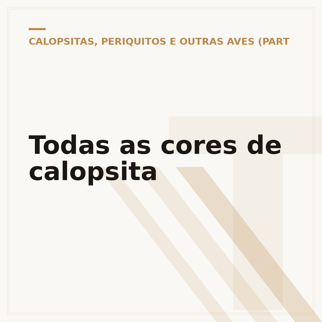 Todas as cores de calopsita