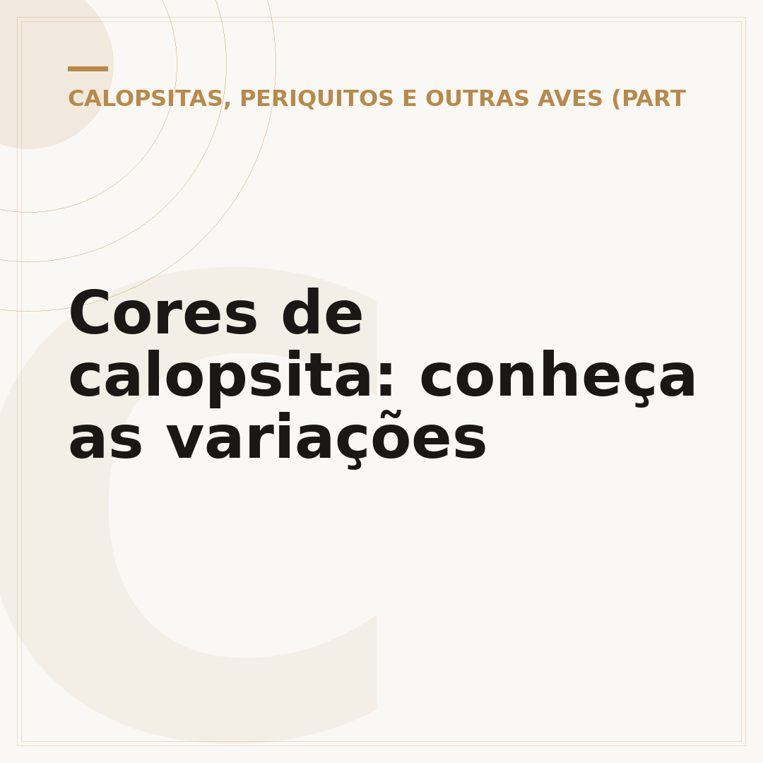 Cores de calopsita: conheça as variações