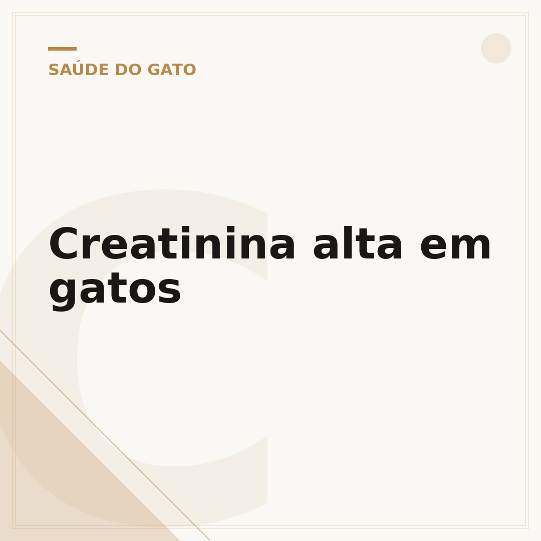 Creatinina alta em gatos