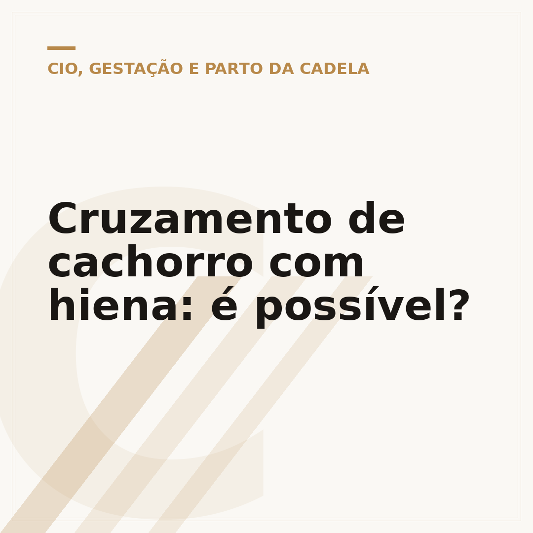 Cruzamento de cachorro com hiena: é possível?