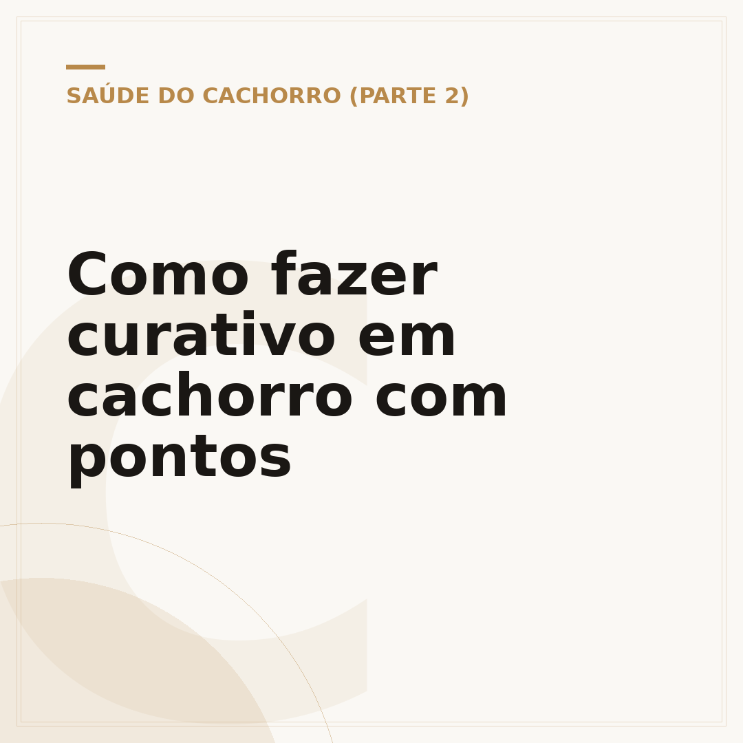 Como fazer curativo em cachorro com pontos