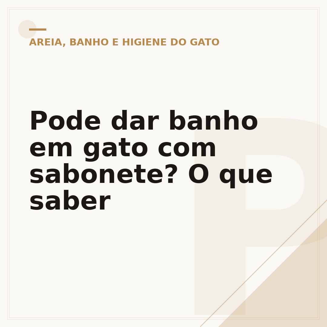 Pode dar banho em gato com sabonete? O que saber