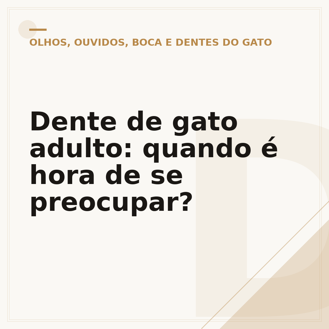 Dente de gato adulto: quando é hora de se preocupar?