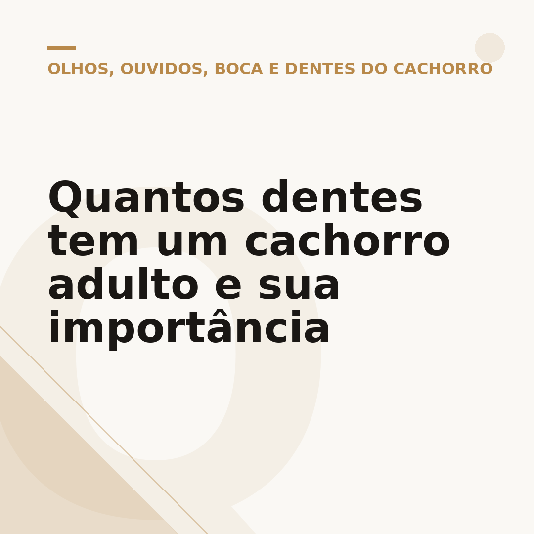 Quantos dentes tem um cachorro adulto e sua importância