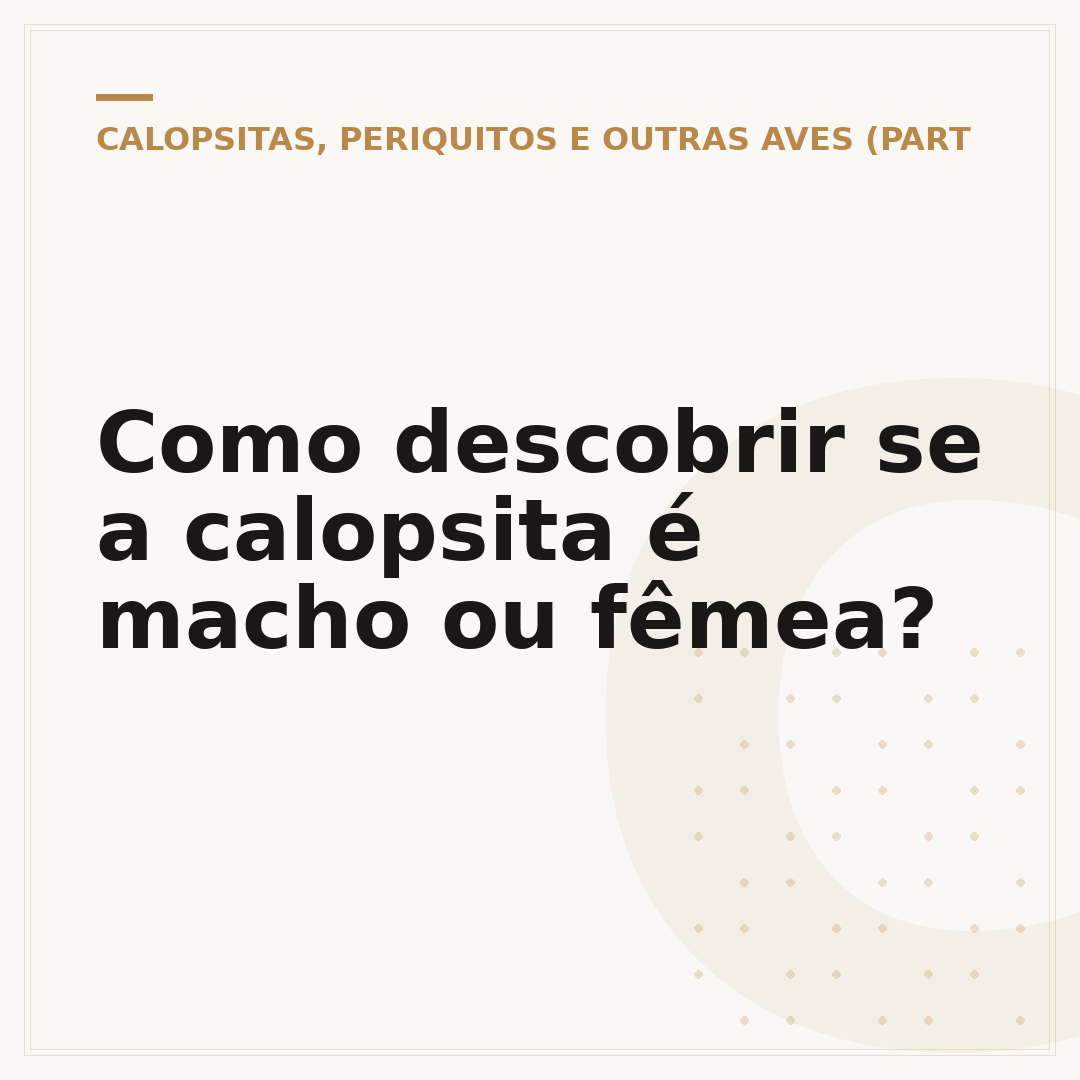 Como descobrir se a calopsita é macho ou fêmea?