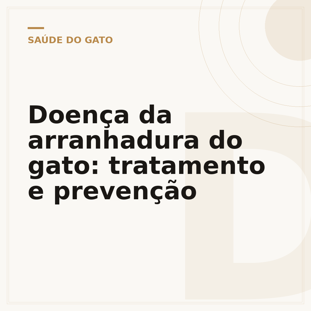 Doença da arranhadura do gato: tratamento e prevenção
