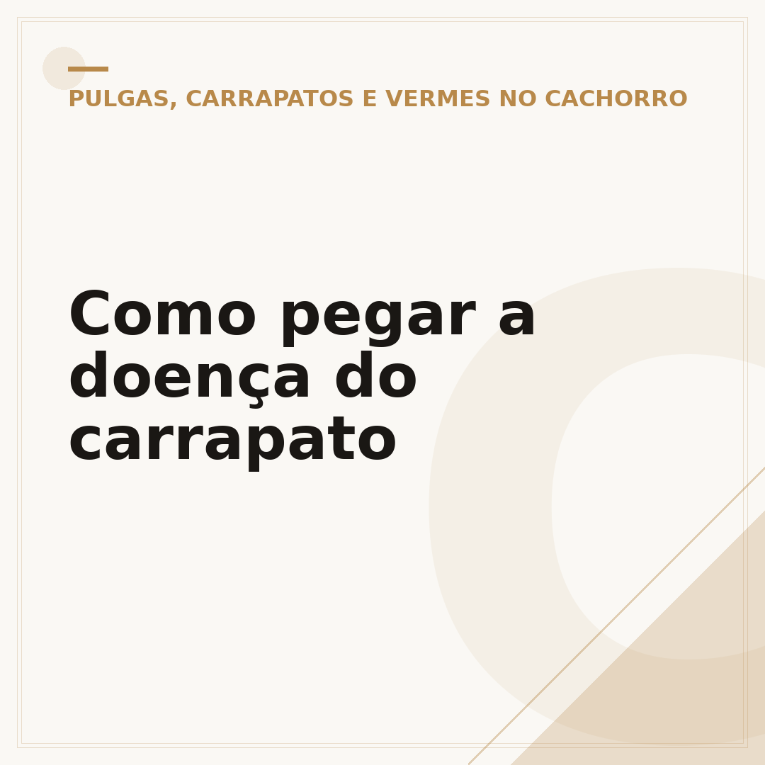 Como pegar a doença do carrapato