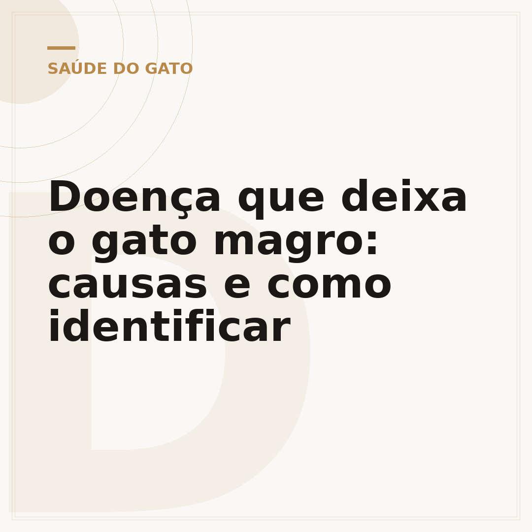 Doença que deixa o gato magro: causas e como identificar
