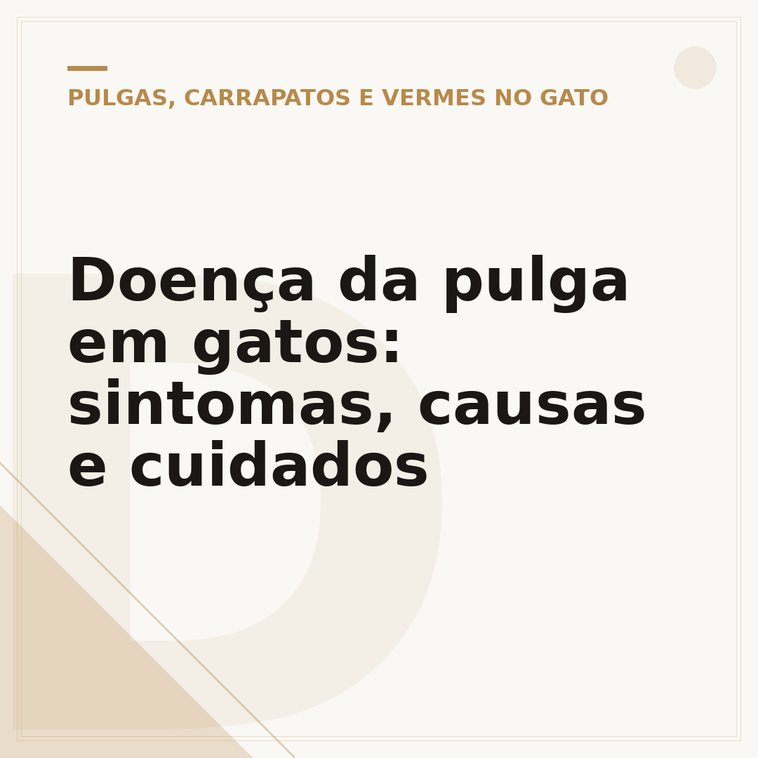 Doença da pulga em gatos: sintomas, causas e cuidados