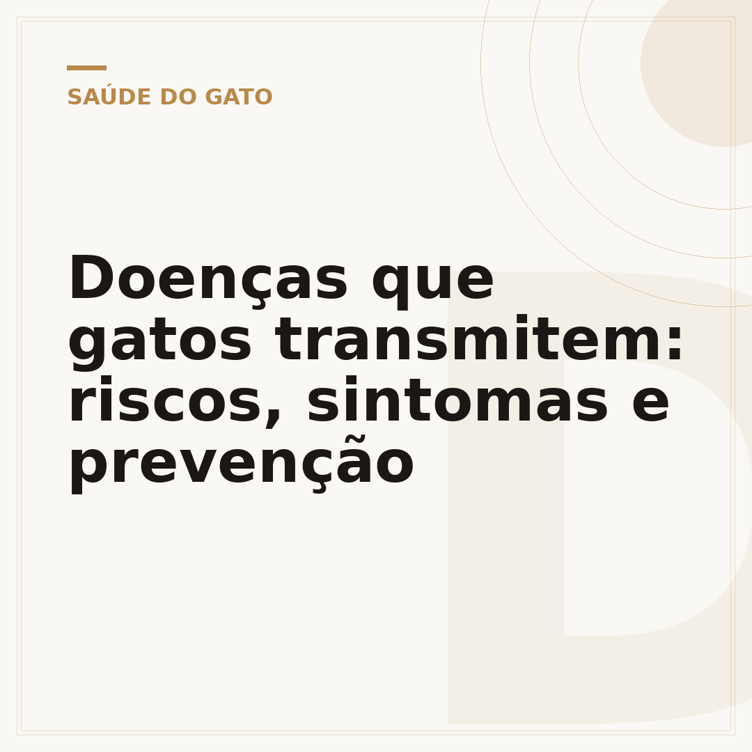 Doenças que gatos transmitem: riscos, sintomas e prevenção