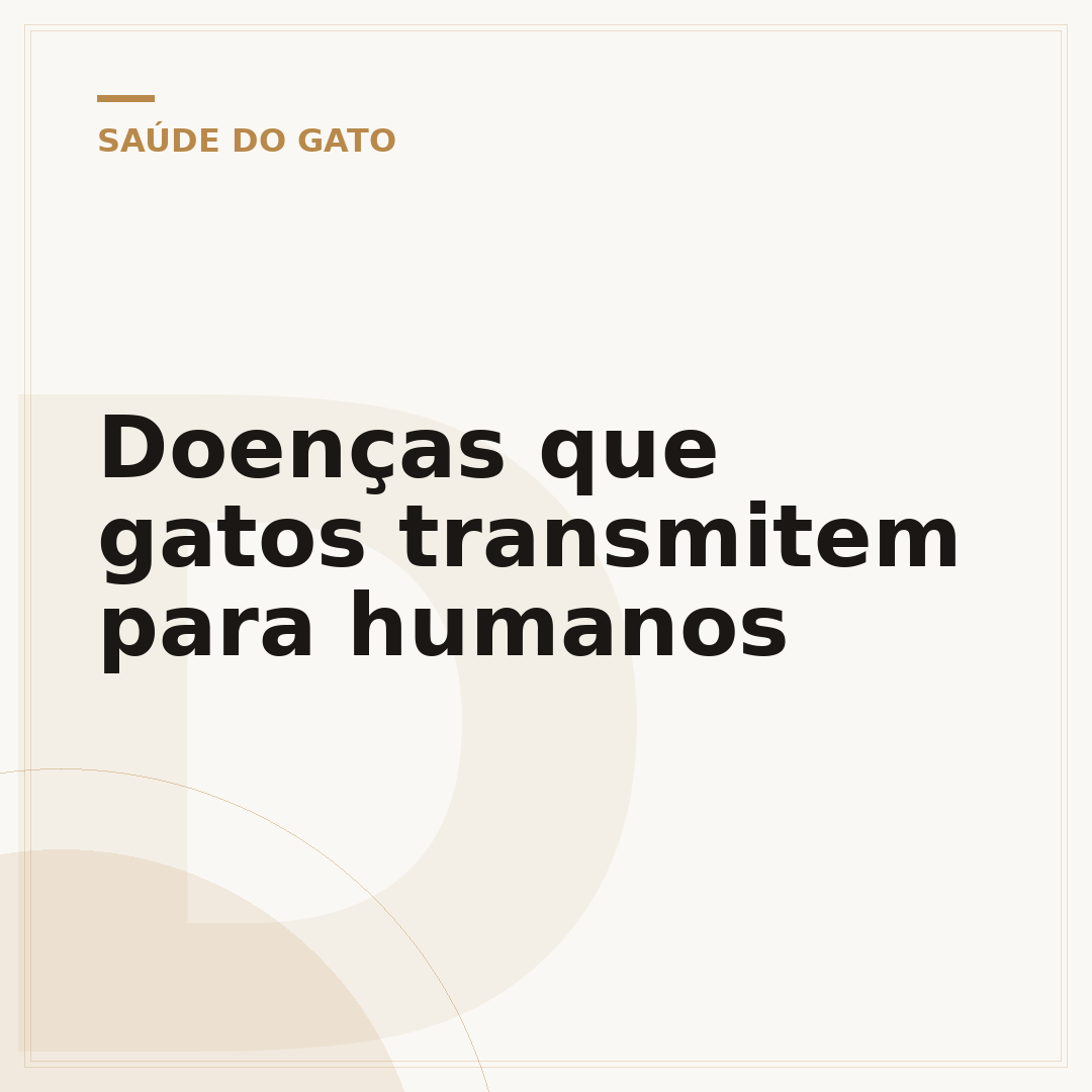 Doenças que gatos transmitem para humanos