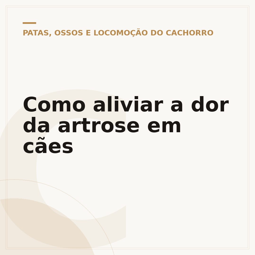 Como aliviar a dor da artrose em cães