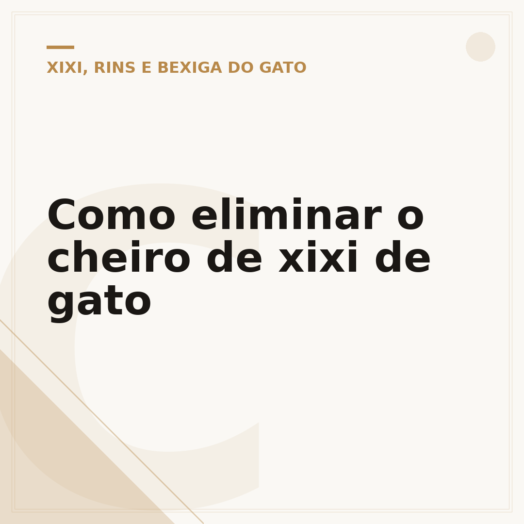 Como eliminar o cheiro de xixi de gato