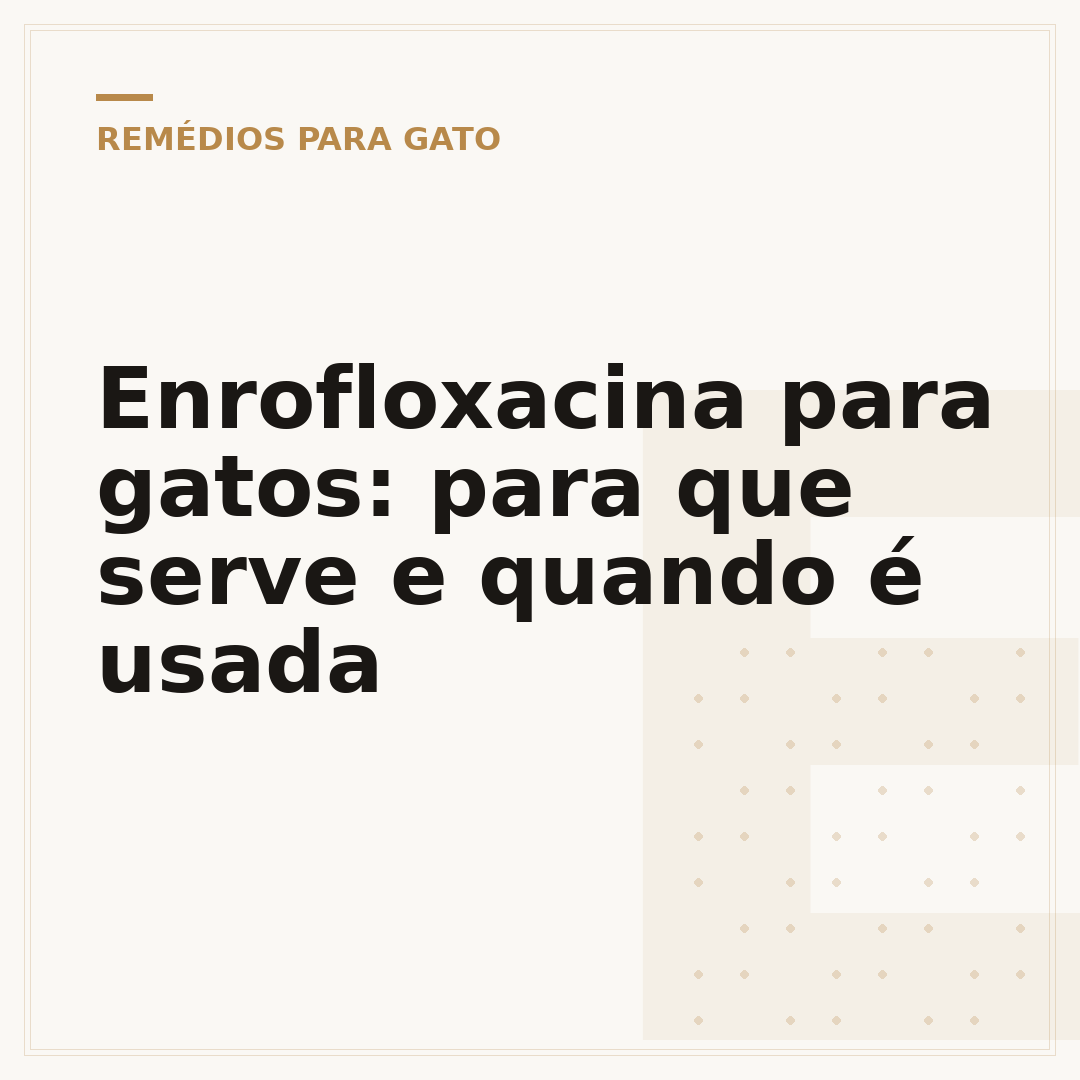 Enrofloxacina para gatos: para que serve e quando é usada