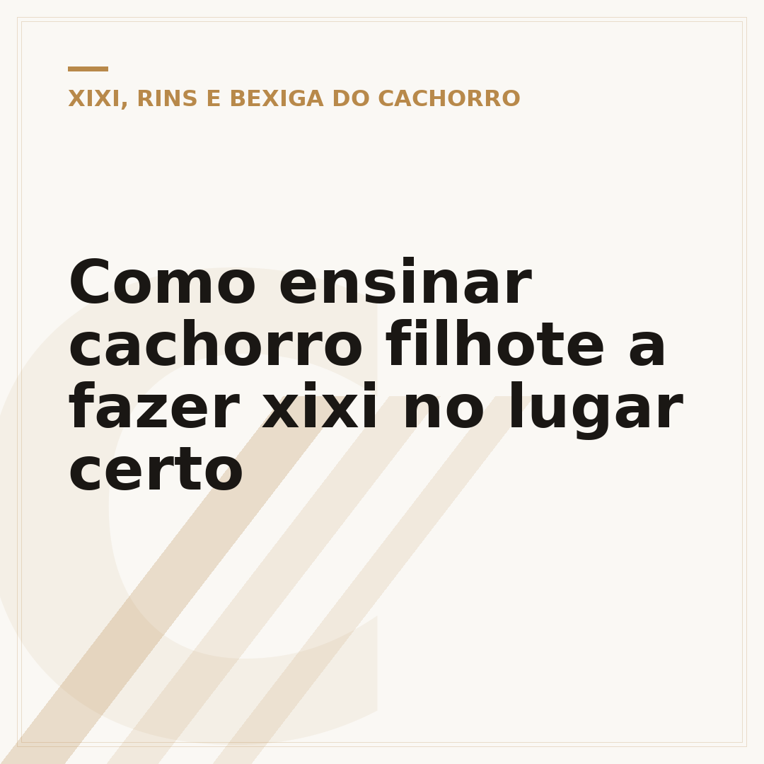 Como ensinar cachorro filhote a fazer xixi no lugar certo