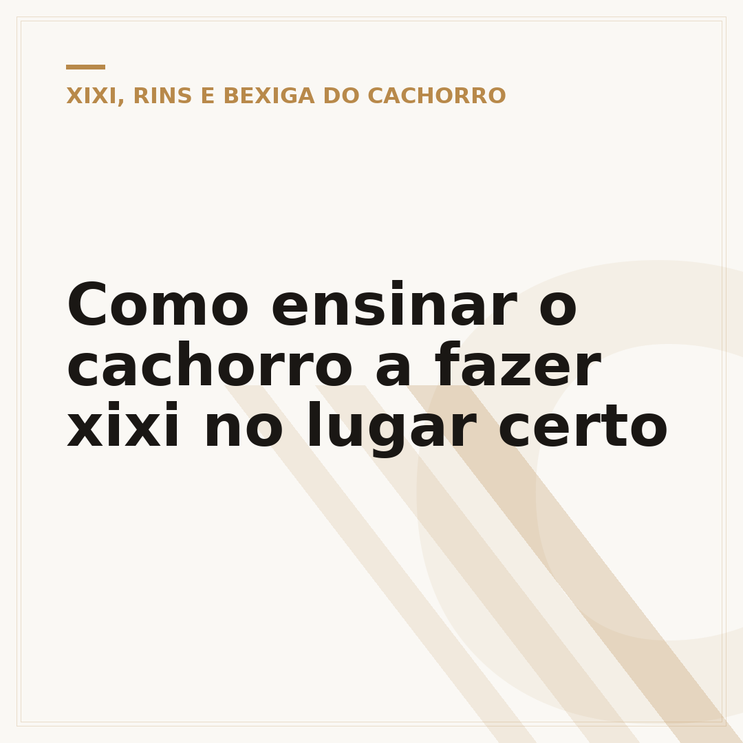 Como ensinar o cachorro a fazer xixi no lugar certo