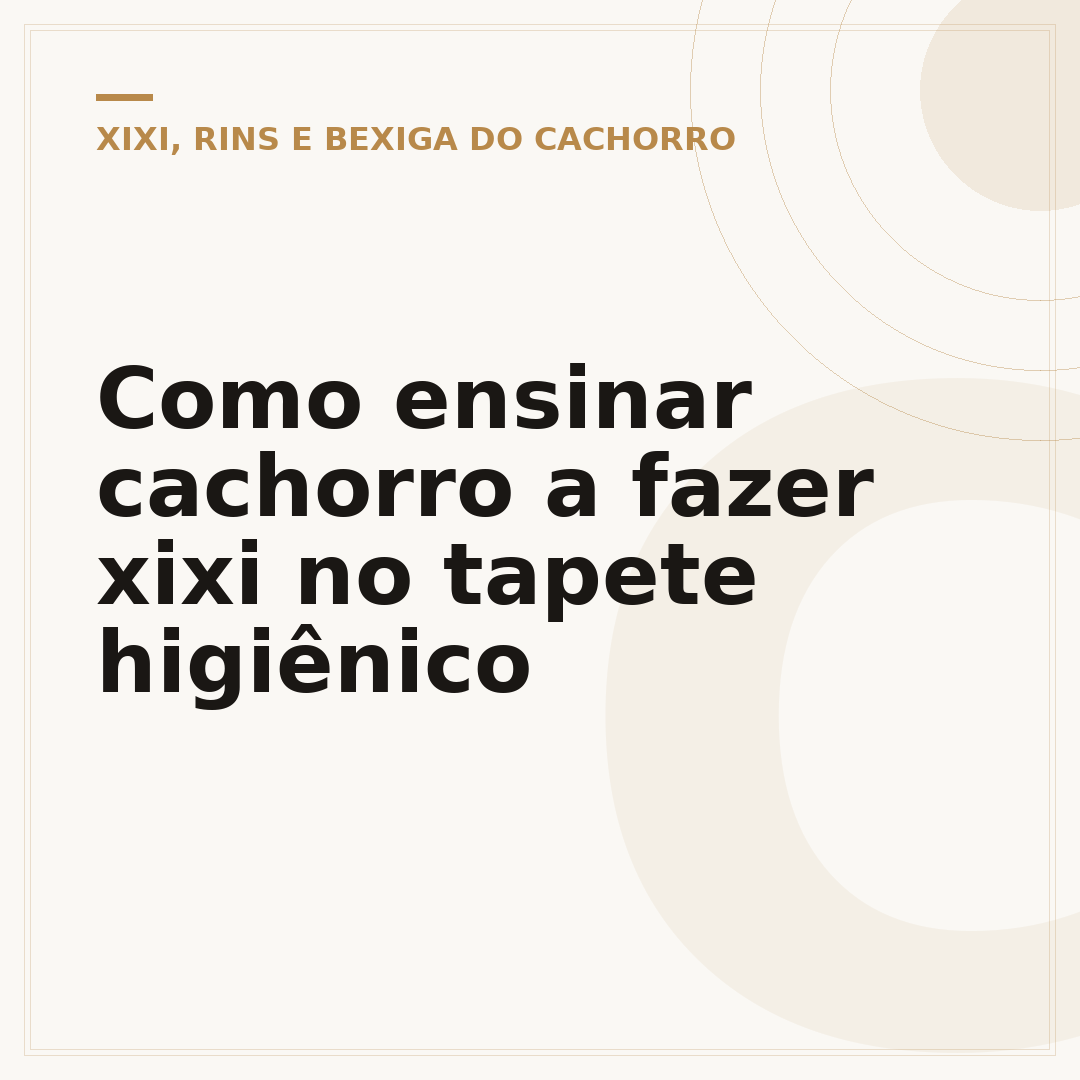 Como ensinar cachorro a fazer xixi no tapete higiênico