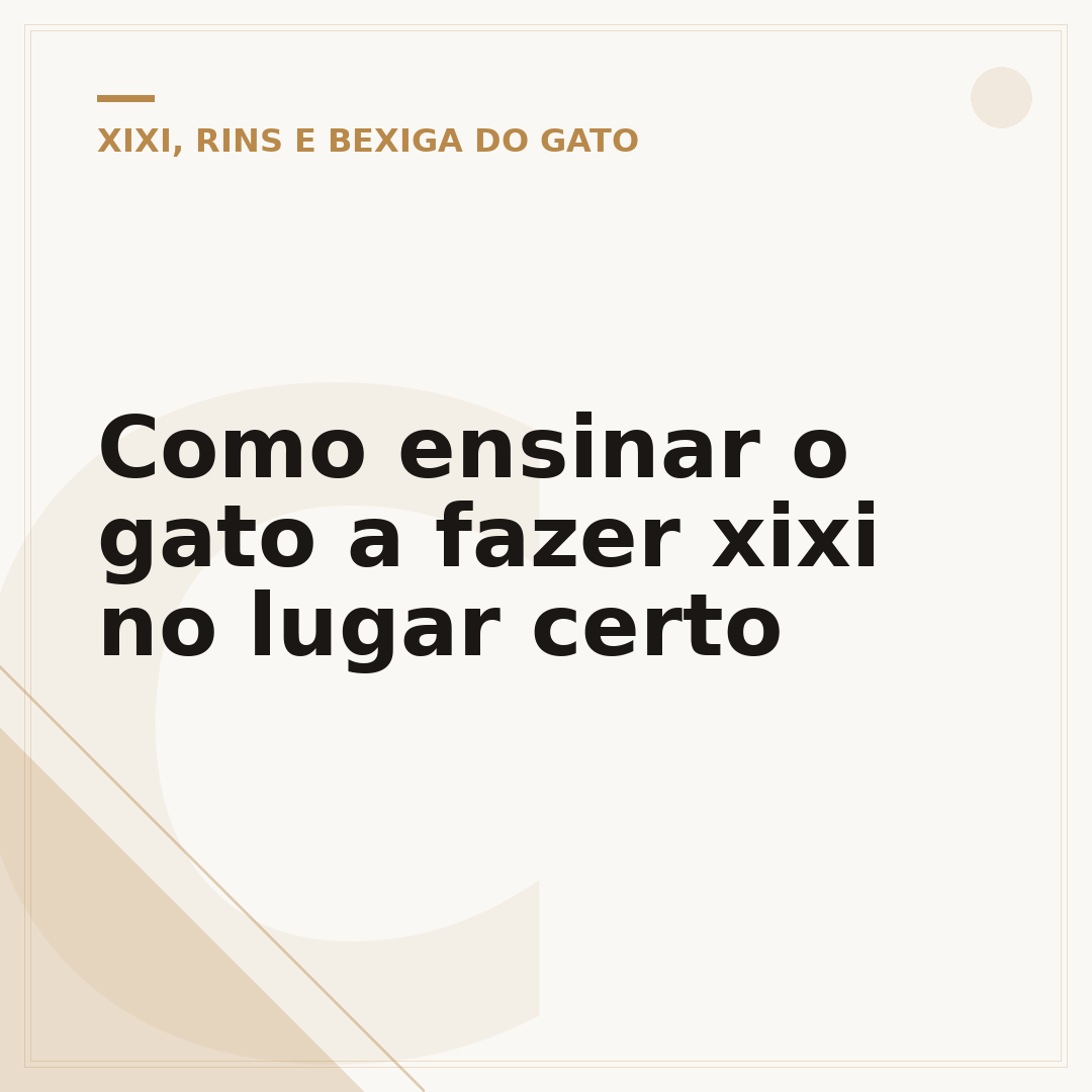 Como ensinar o gato a fazer xixi no lugar certo