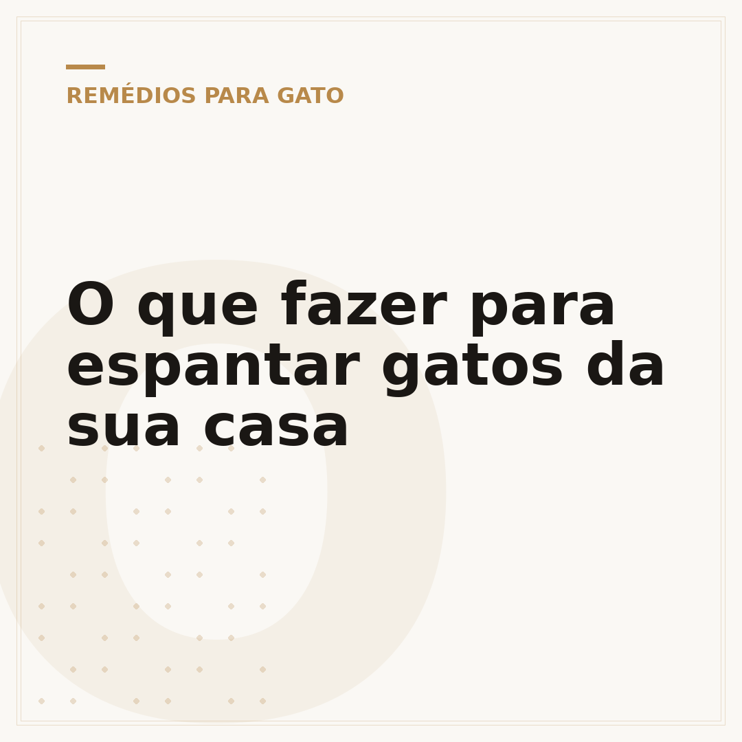 O que fazer para espantar gatos da sua casa