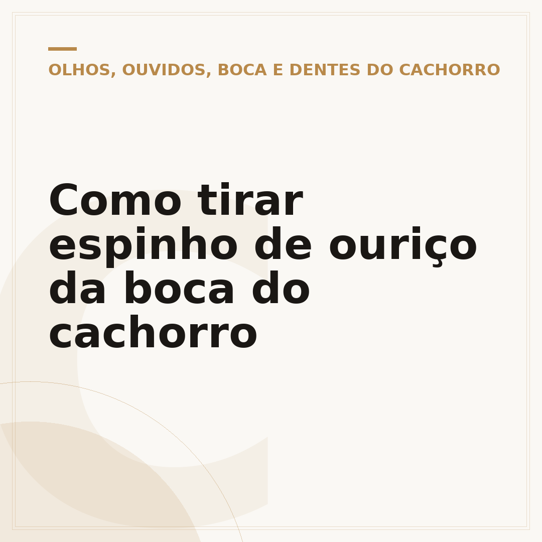 Como tirar espinho de ouriço da boca do cachorro