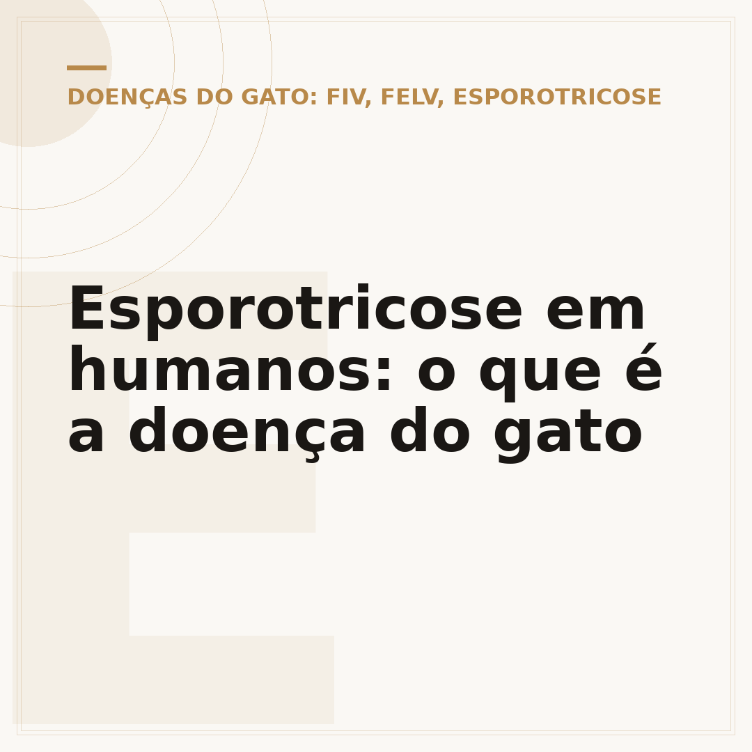 Esporotricose em humanos: o que é a doença do gato