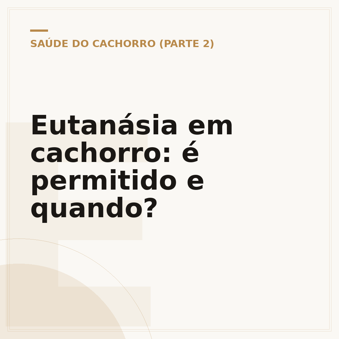 Eutanásia em cachorro: é permitido e quando?