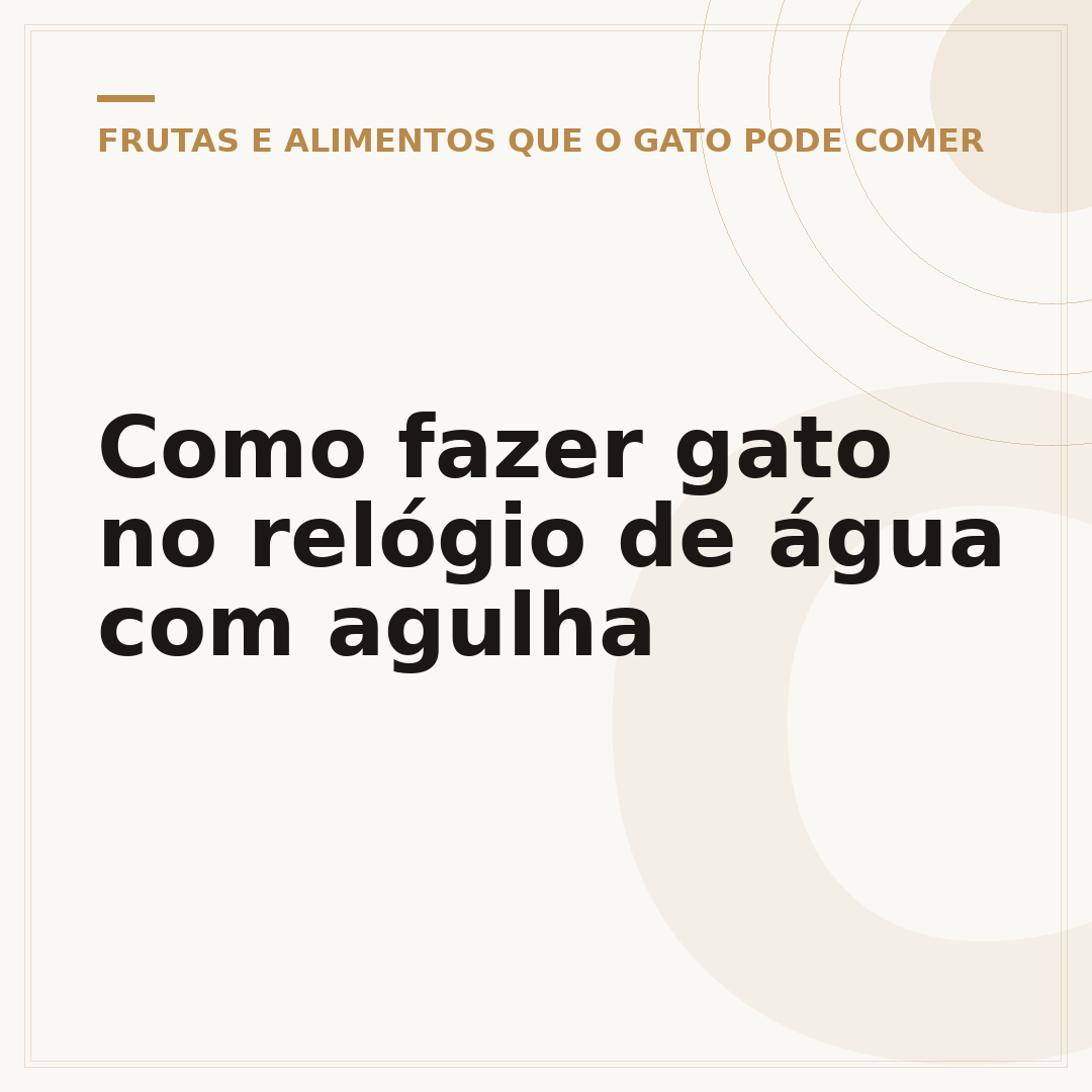 Como fazer gato no relógio de água com agulha